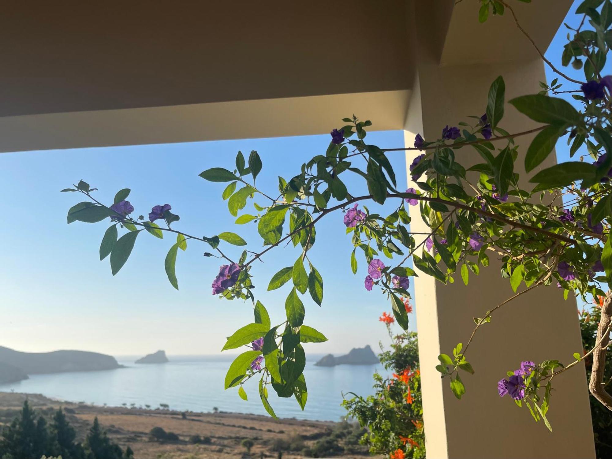 Natica Mare Villas Xerokampos  Exterior photo